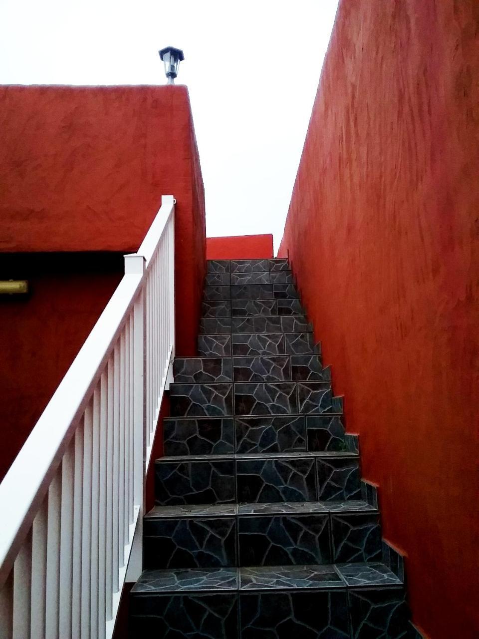 Apartamentos Trebol Mocanal Buitenkant foto